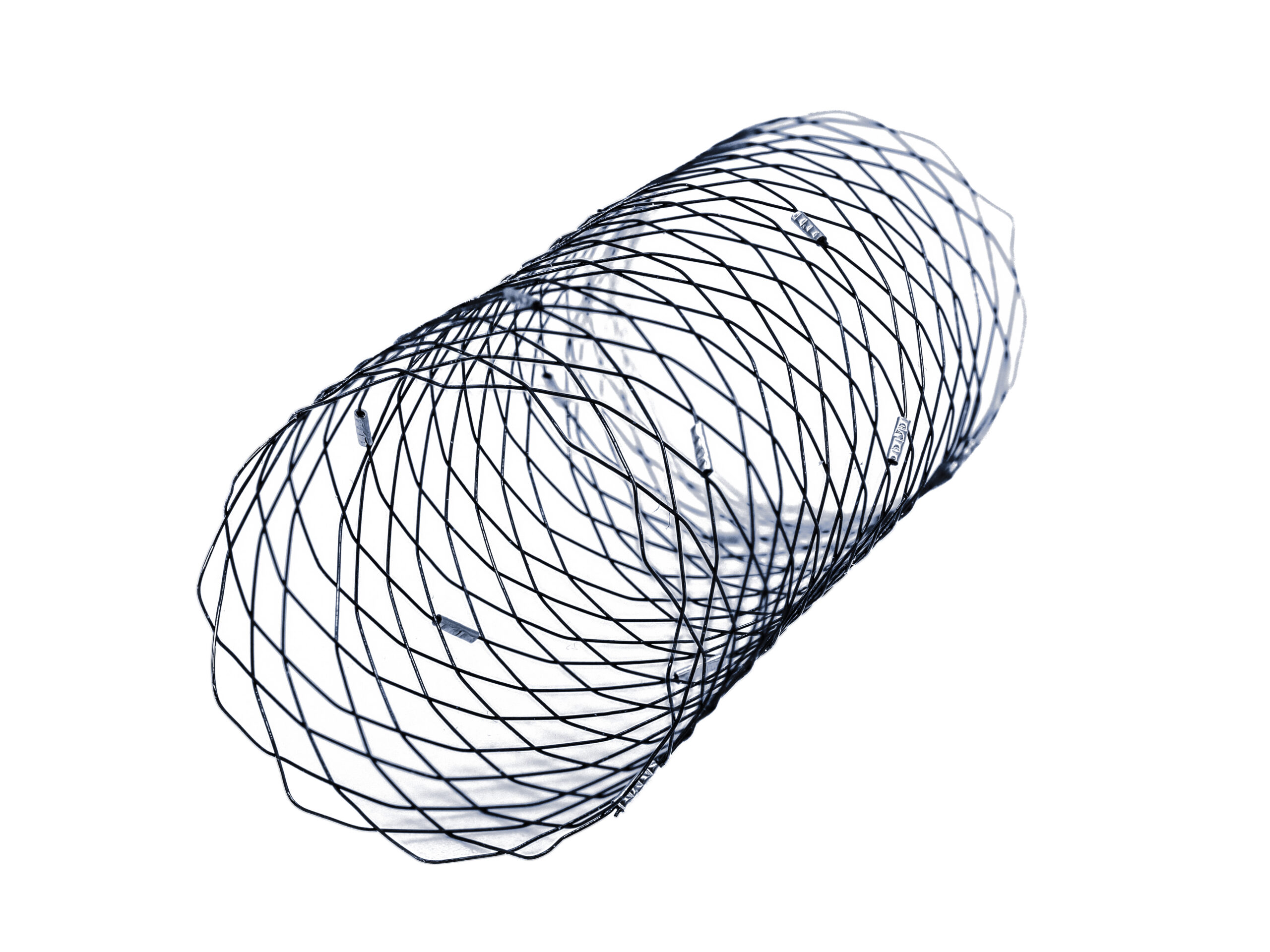Design and development of an implantable and removable embolic protection device