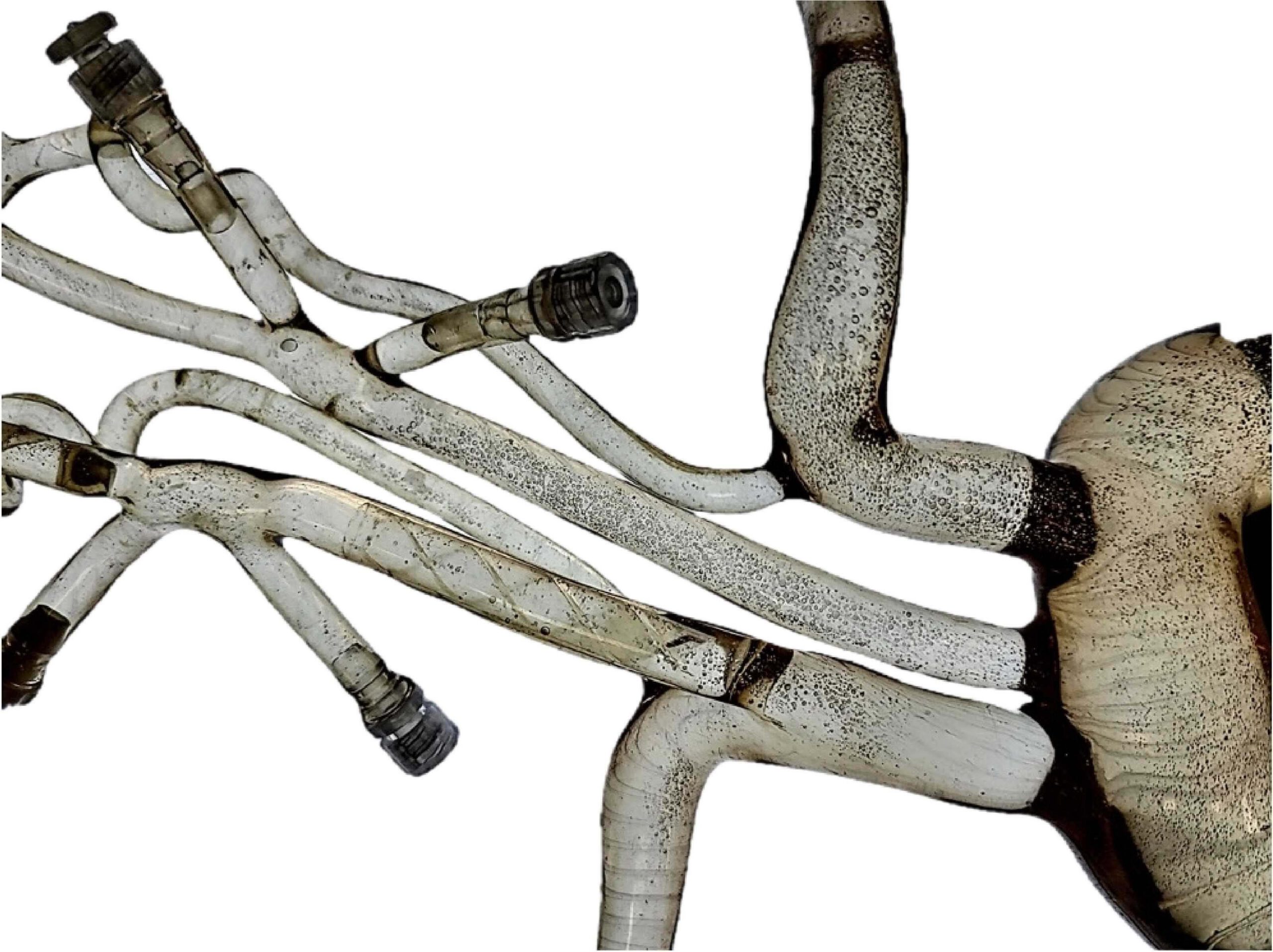 From Concept to pre-clinical trial in 6 months