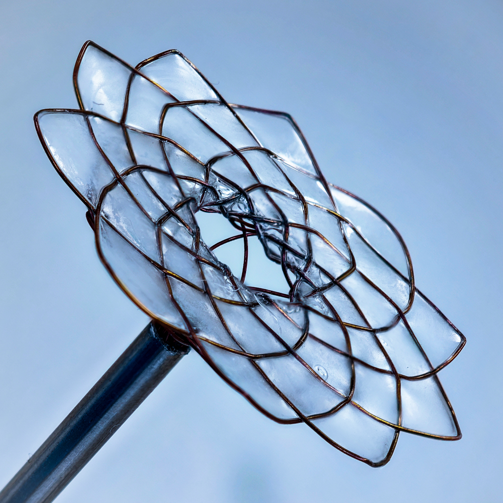 Made by People: Nicolas Chan on risk, responsibility and building what doesn’t yet exist